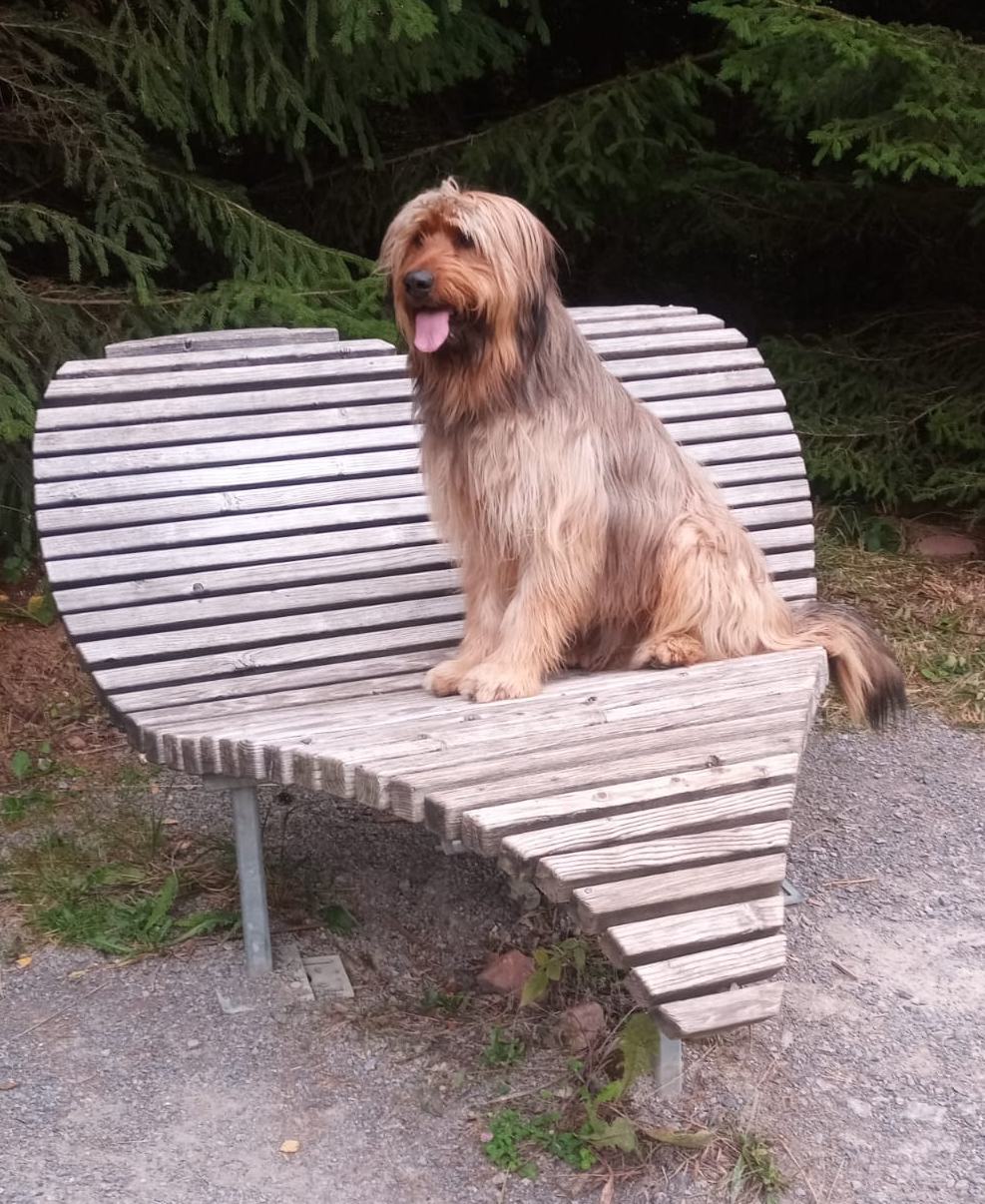 Wäller von der Straubenhalde